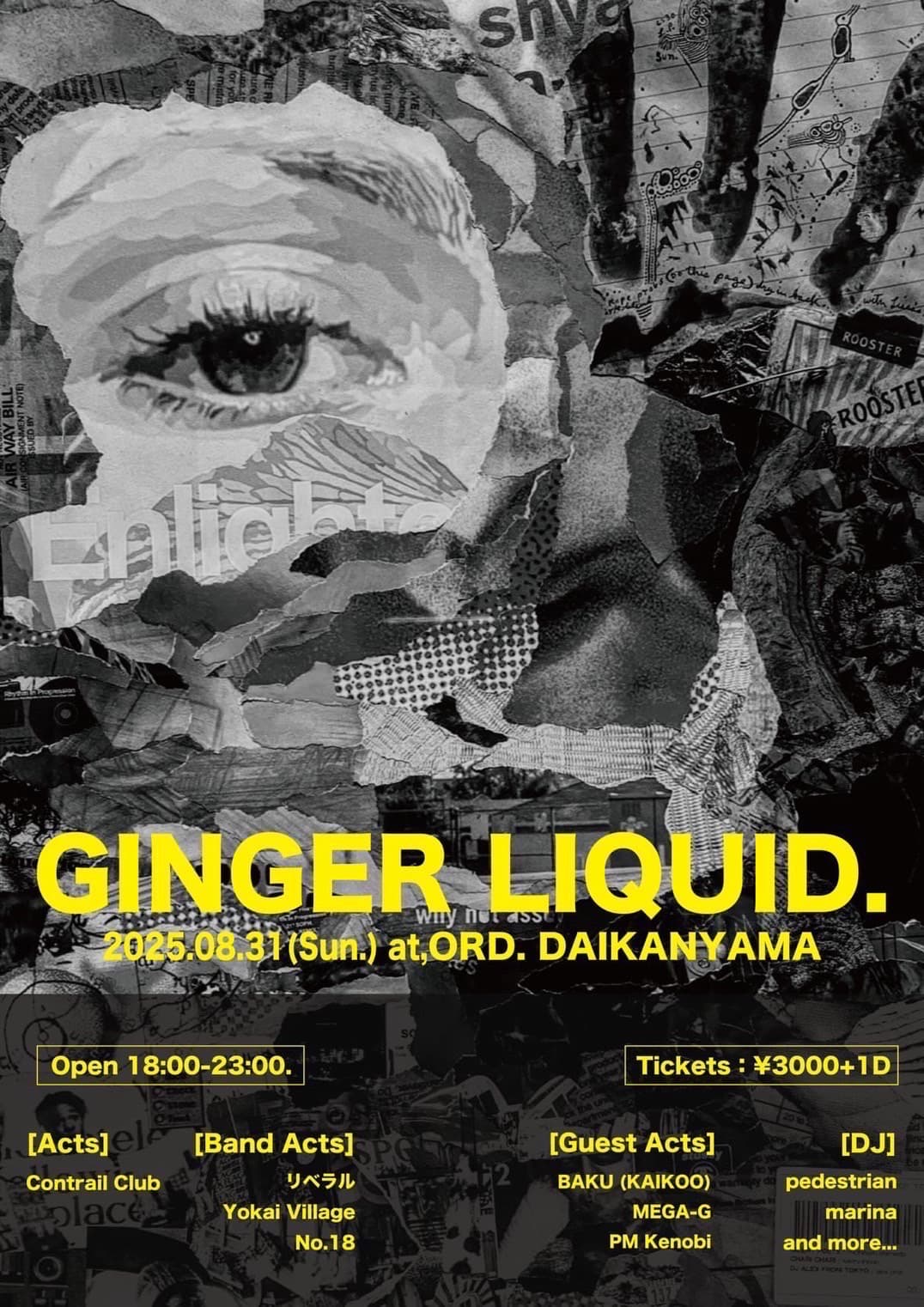 GINGER LIQUID